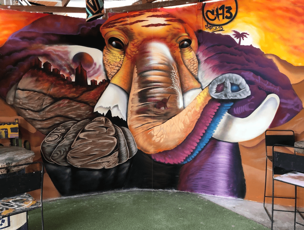 Elephant Wall Art